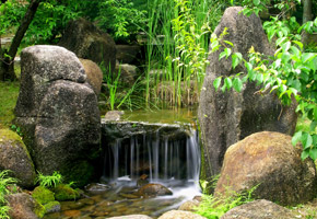 Hardscapes & Landscapes