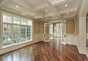 PROFESSIONAL PAINTING