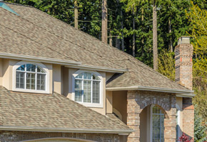 Roofing & Repairs